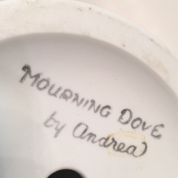 Mourning Dove - Picture 6 of 7